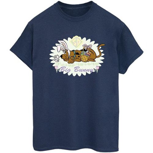 T-shirt Scooby Doo BI51204 - Scooby Doo - Modalova