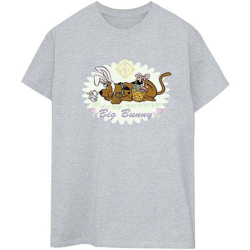 T-shirt Scooby Doo BI51204 - Scooby Doo - Modalova