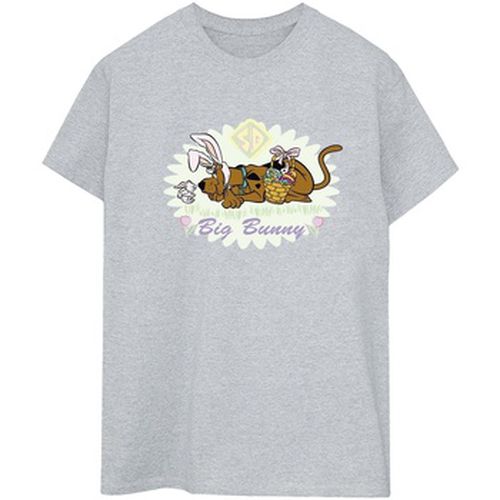 T-shirt Scooby Doo Big Bunny - Scooby Doo - Modalova