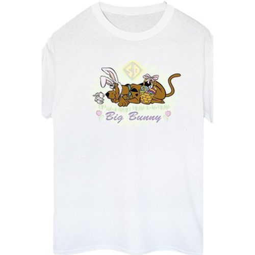 T-shirt Scooby Doo BI51204 - Scooby Doo - Modalova