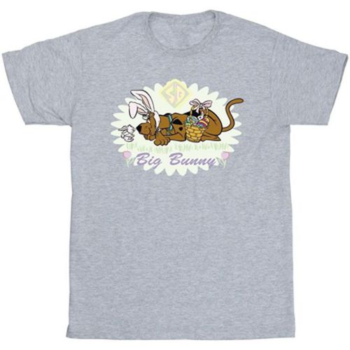 T-shirt Scooby Doo BI51829 - Scooby Doo - Modalova