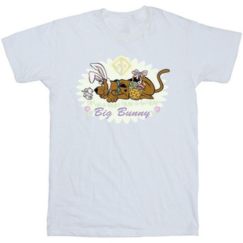 T-shirt Scooby Doo BI51829 - Scooby Doo - Modalova