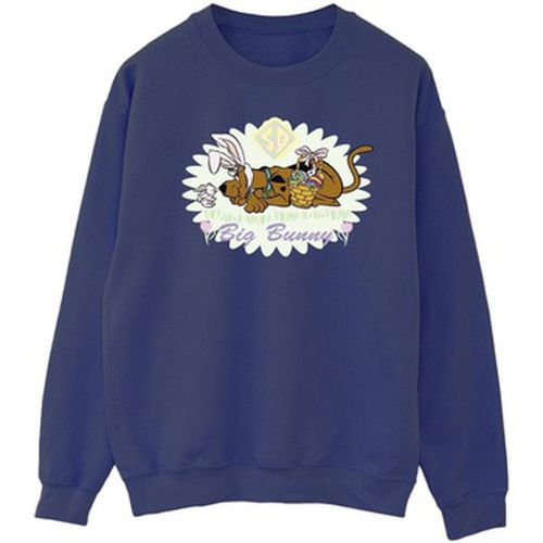 Sweat-shirt Scooby Doo BI51593 - Scooby Doo - Modalova