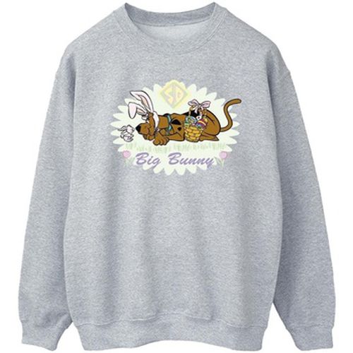 Sweat-shirt Scooby Doo BI51593 - Scooby Doo - Modalova