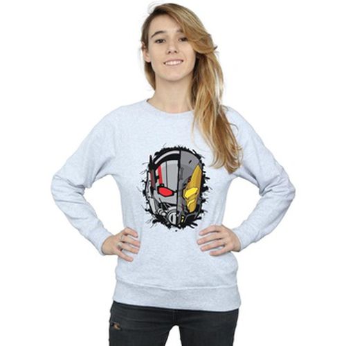 Sweat-shirt Marvel BI2785 - Marvel - Modalova