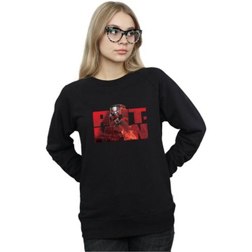 Sweat-shirt Marvel BI2743 - Marvel - Modalova