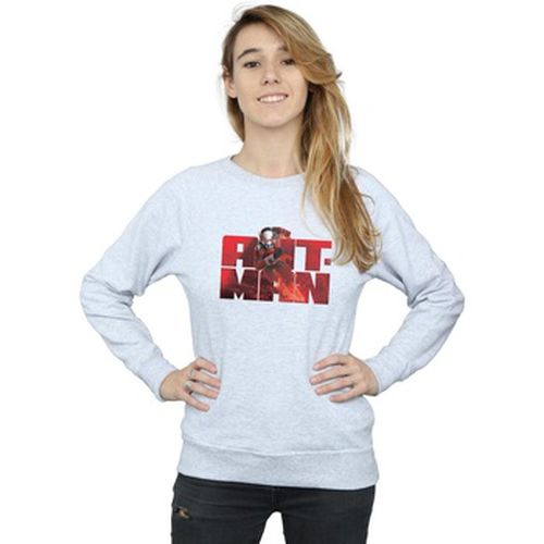 Sweat-shirt Marvel BI2743 - Marvel - Modalova