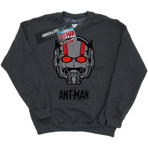 Sweat-shirt Marvel Ant-Man Helmet - Marvel - Modalova
