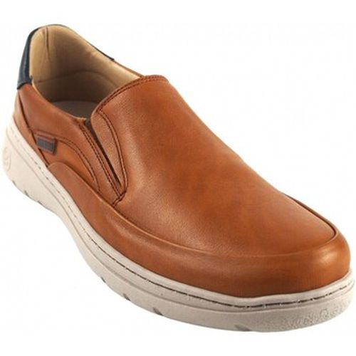 Chaussures Chaussure en cuir 2501 - Baerchi - Modalova