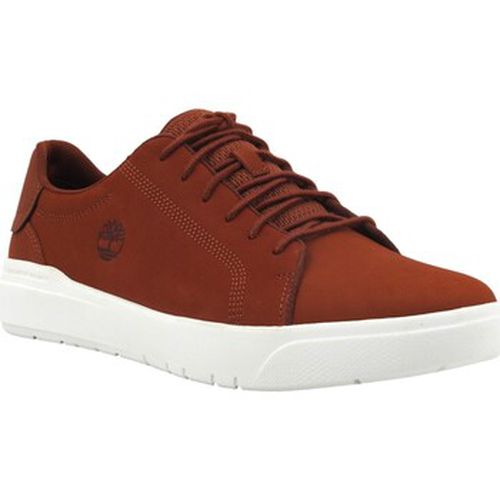 Chaussures Seneca Bay Sneaker Uomo Dark Red TB0A67ENEQ1 - Timberland - Modalova