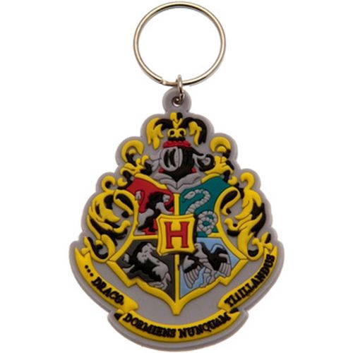 Porte clé Harry Potter PM1040 - Harry Potter - Modalova