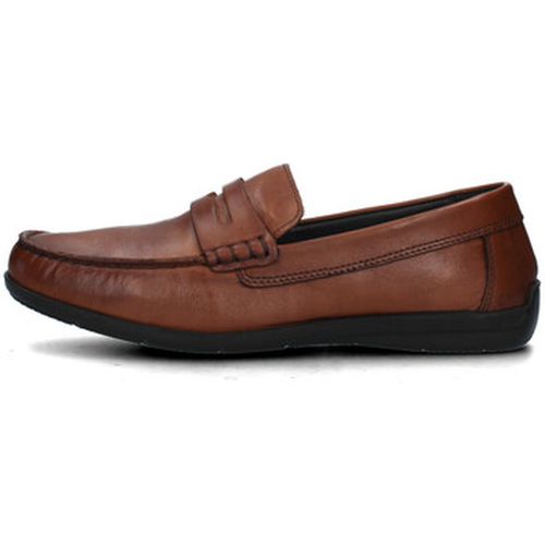 Mocassins IgI&CO 5613422 - IgI&CO - Modalova