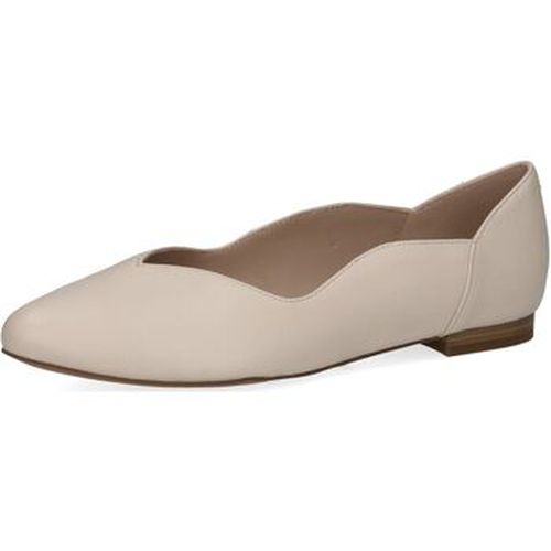 Ballerines Caprice Ballerines - Caprice - Modalova