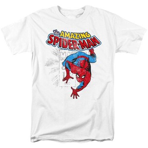 T-shirt Marvel TV2963 - Marvel - Modalova