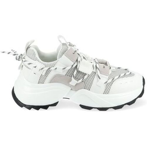 Baskets basses Sneaker - Steve Madden - Modalova
