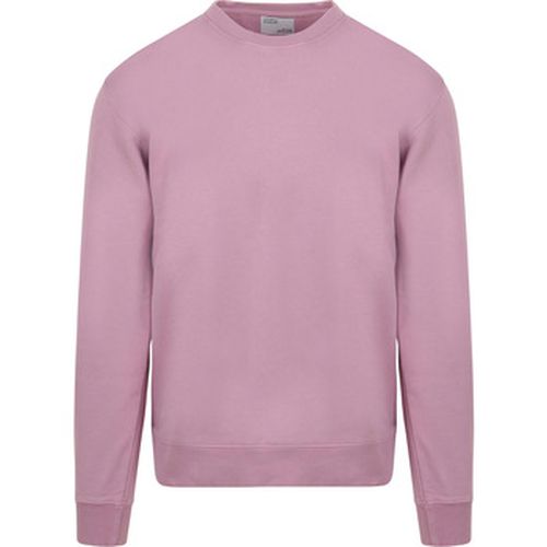 Sweat-shirt Pull Violet - Colorful Standard - Modalova