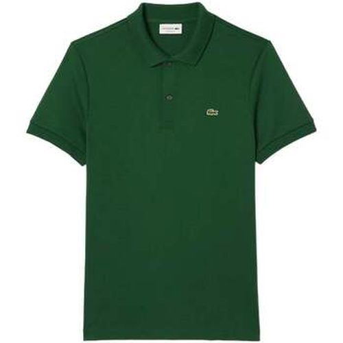 Polo Lacoste - Lacoste - Modalova