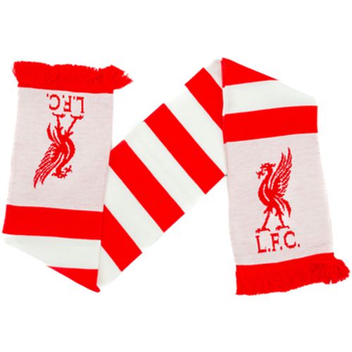 Echarpe Liverpool Fc TA11663 - Liverpool Fc - Modalova