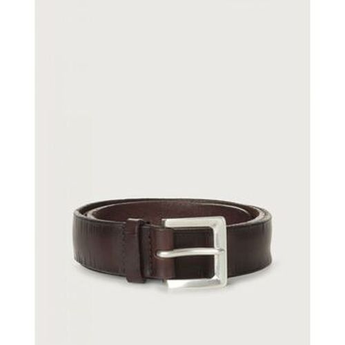 Ceinture U08251 - BULL SOFT-TESTA DI MORO - Orciani - Modalova