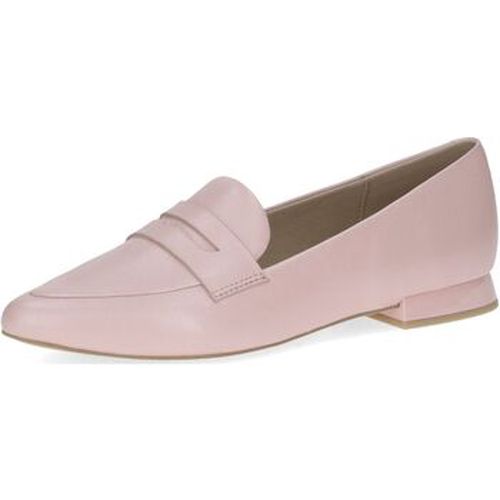 Ballerines Caprice Ballerines - Caprice - Modalova