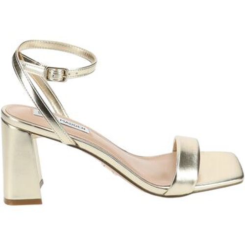 Sandales Steve Madden Sandales - Steve Madden - Modalova