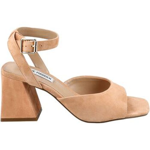 Sandales Steve Madden Sandales - Steve Madden - Modalova