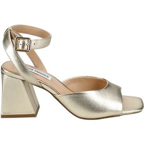 Sandales Steve Madden Sandales - Steve Madden - Modalova