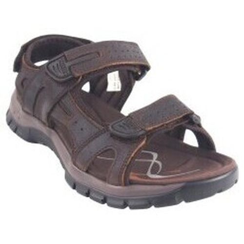Chaussures Sandales 24173 - Paredes - Modalova