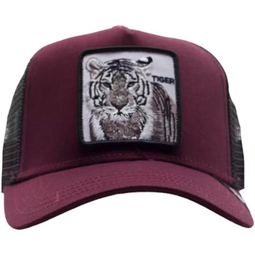 Chapeau chapeau Tiger burgundy - Goorin Bros - Modalova