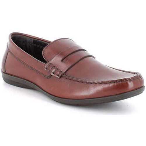 Slip ons IgI&CO - IgI&CO - Modalova