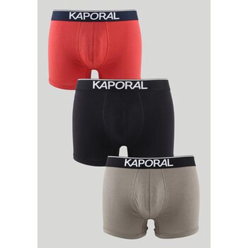 Slips - Pack de 3 Boxers - multicolore - Kaporal - Modalova