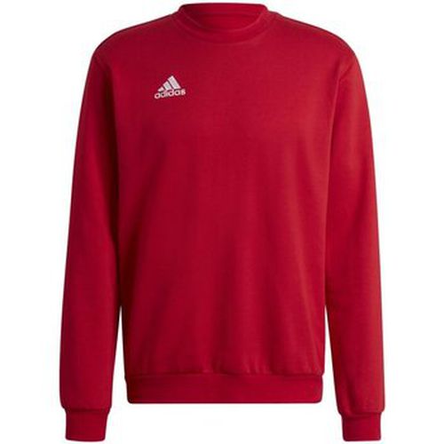 Pull adidas - adidas - Modalova