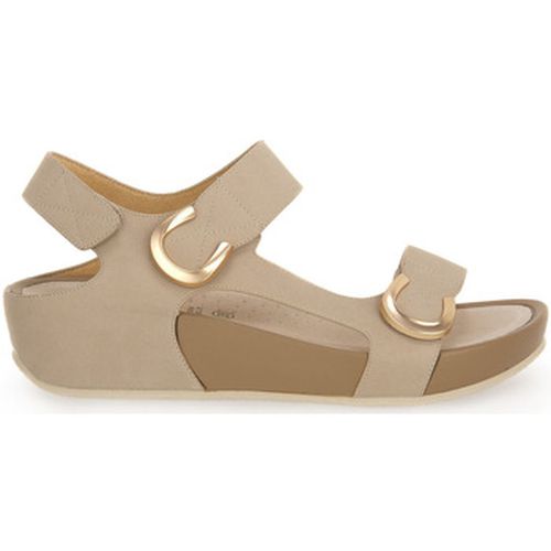 Sandales Grunland BEIGE C9DIRA - Grunland - Modalova