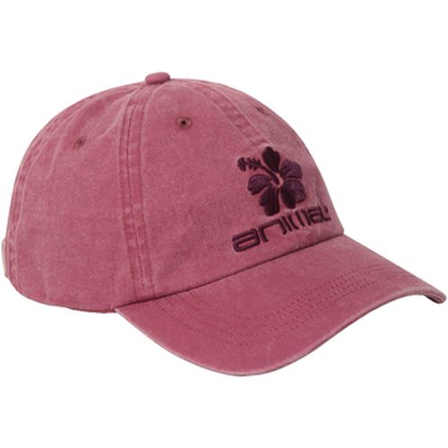 Casquette Animal Emily - Animal - Modalova