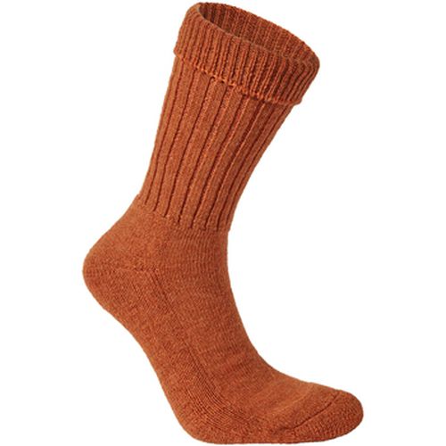 Chaussettes Craghoppers CG526 - Craghoppers - Modalova