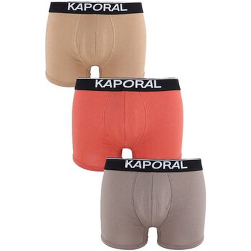 Slips - Pack de 3 Boxers - multicolore - Kaporal - Modalova