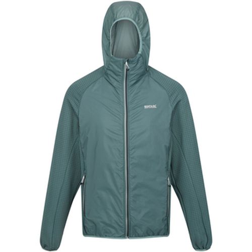 Blouson Highton Lite Hybrid - Regatta - Modalova