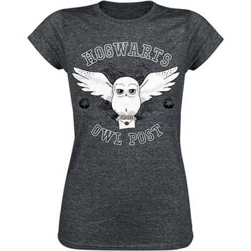 T-shirt Hogwarts Owl Post - Harry Potter - Modalova