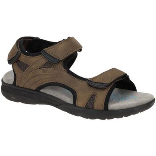 Chaussures Geox - Geox - Modalova