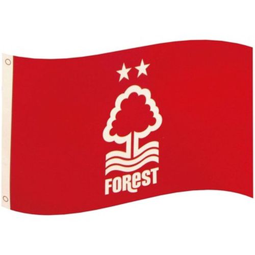 Accessoire sport TA9936 - Nottingham Forest Fc - Modalova