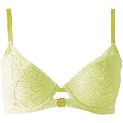 Rembourrés Soutien-gorge ampliforme coque moulée Lina - Morgan - Modalova