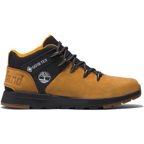 Bottes Sprint Trekker Mid GTX - Timberland - Modalova