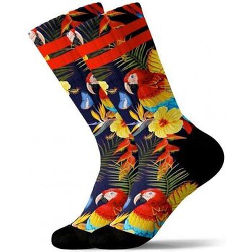 Chaussettes Chaussettes COLORFULL - Pullin - Modalova