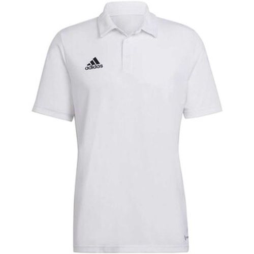 T-shirt adidas Ent22 Polo - adidas - Modalova