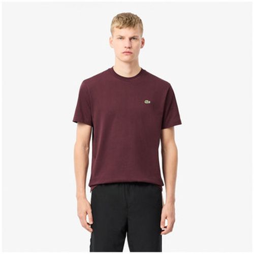 T-shirt Lacoste - T-SHIRT COTON - Lacoste - Modalova