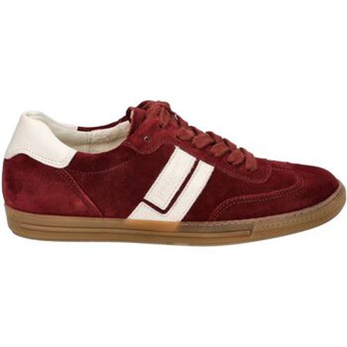 Baskets basses Paul Green Sneaker - Paul Green - Modalova