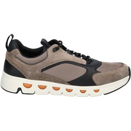 Baskets basses Geox Sneaker - Geox - Modalova