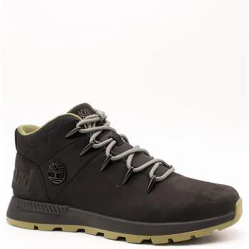 Baskets montantes Timberland - Timberland - Modalova