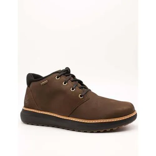 Baskets montantes Timberland - Timberland - Modalova