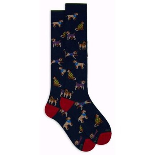 Chaussettes Gallo AP515283 - Gallo - Modalova